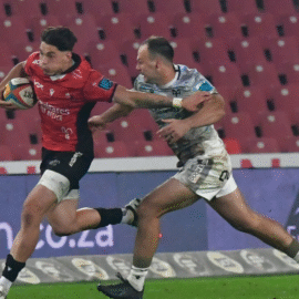 LIONS LOOK TO PREY ON ULSTER FOR BACK-TO-BACK HOME WINS